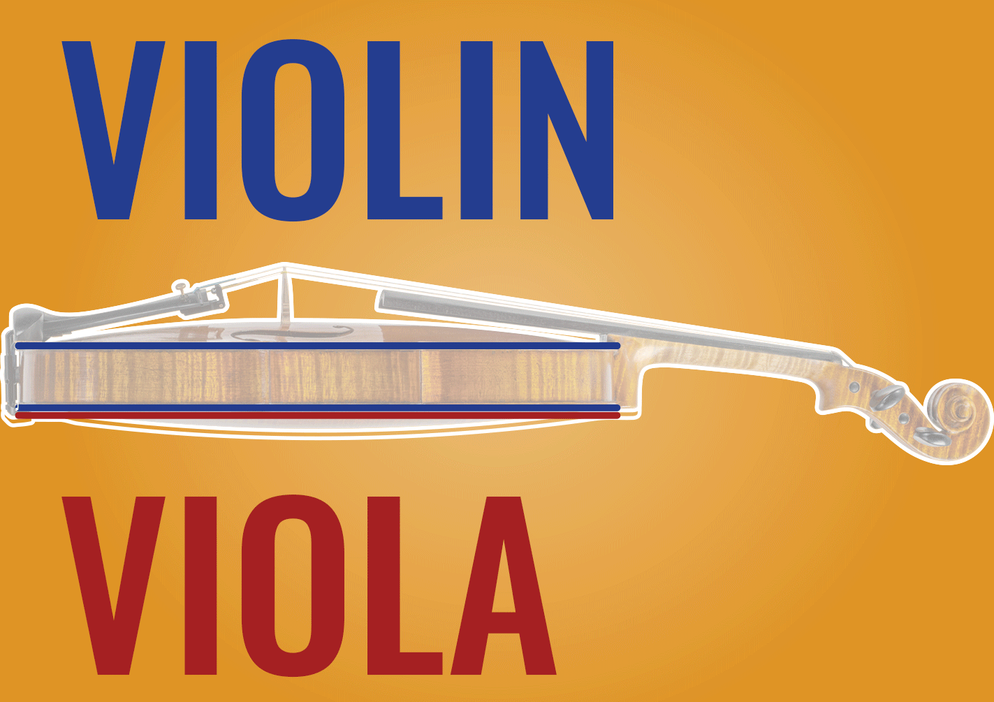 Violin vs Viola - GIF.gif