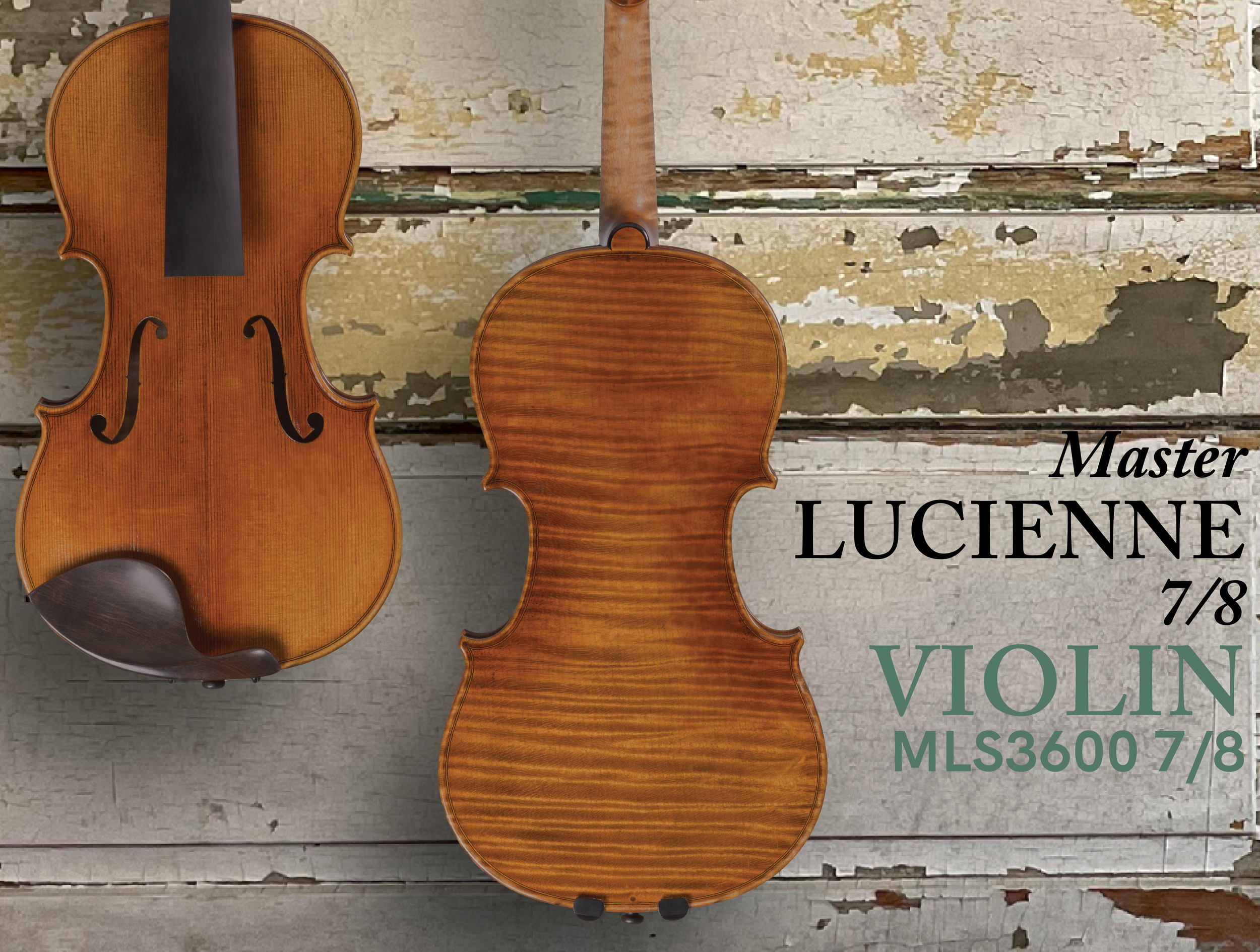 202601 HP 3600VN7.8.png