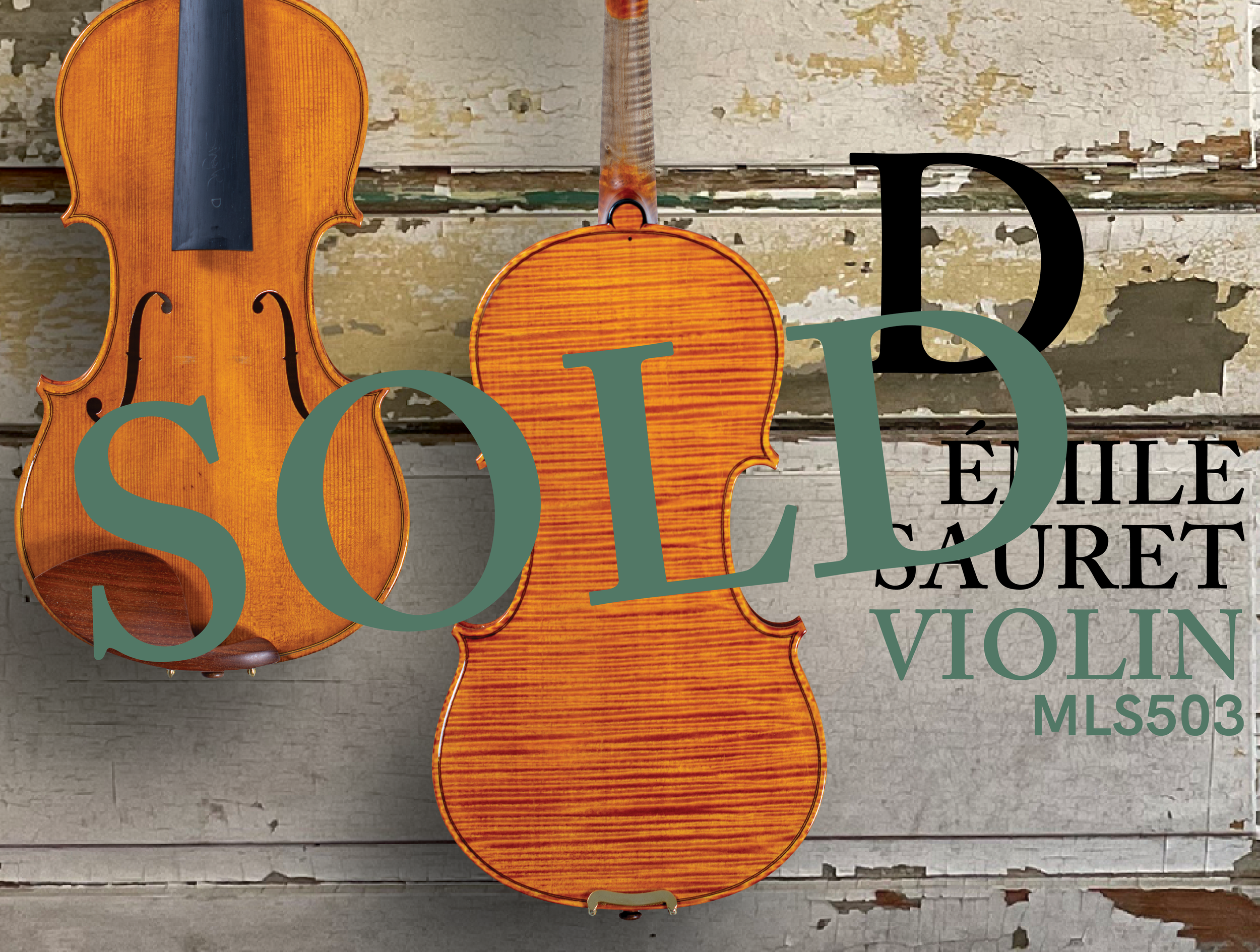 202603 HP 503VN D-SOLD.png