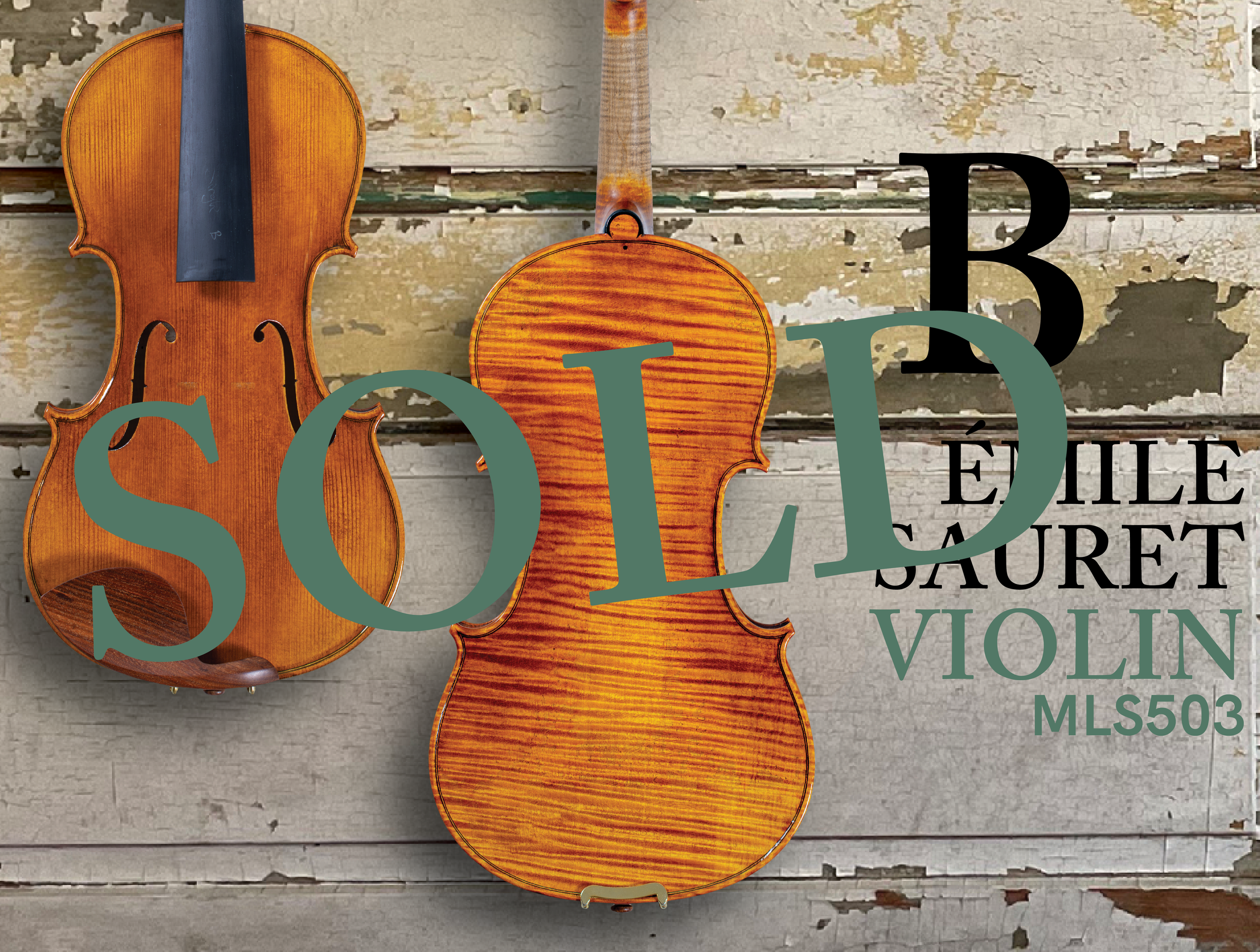 202603 HP 503VN B-SOLD.png