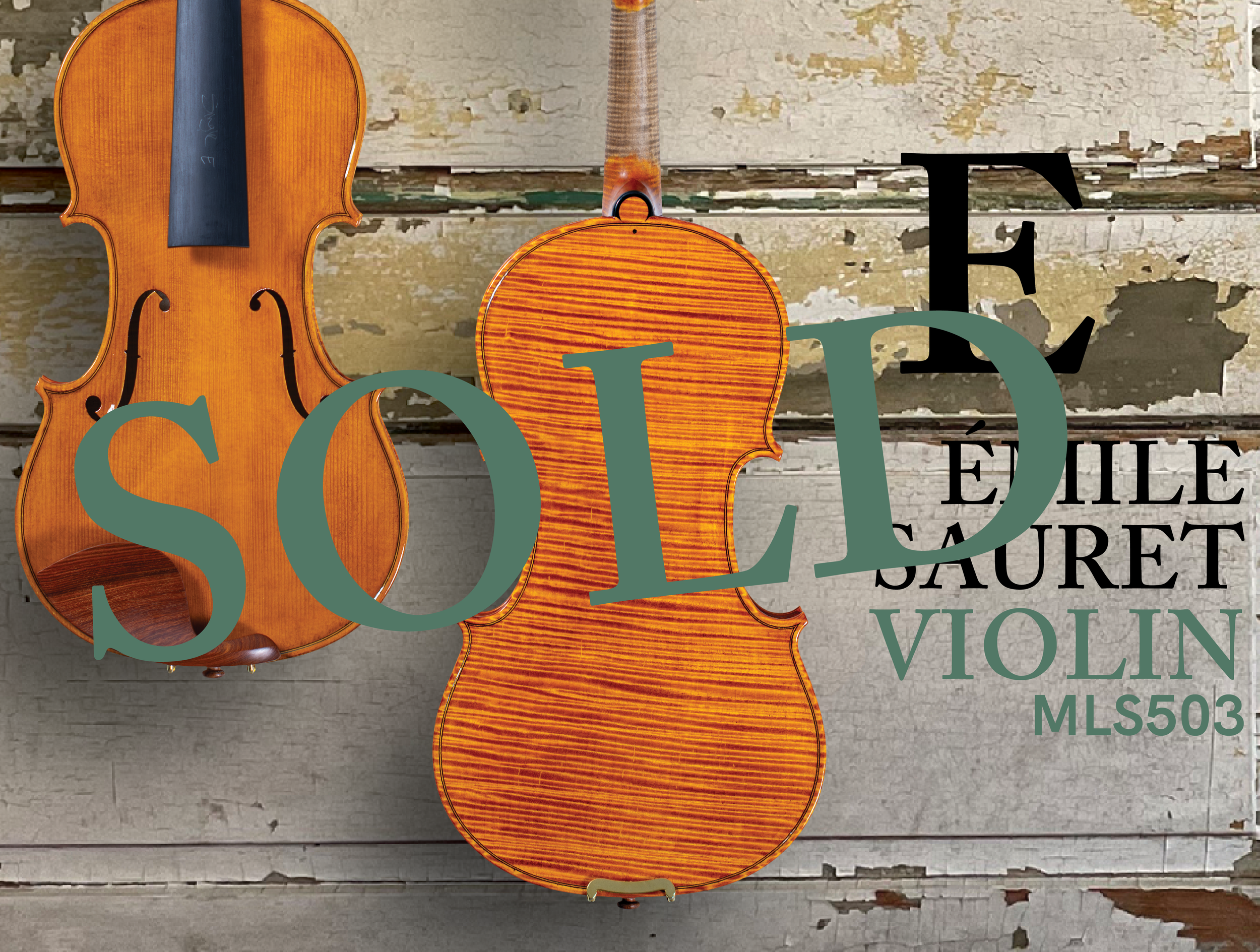 202603 HP 503VN E-SOLD.png