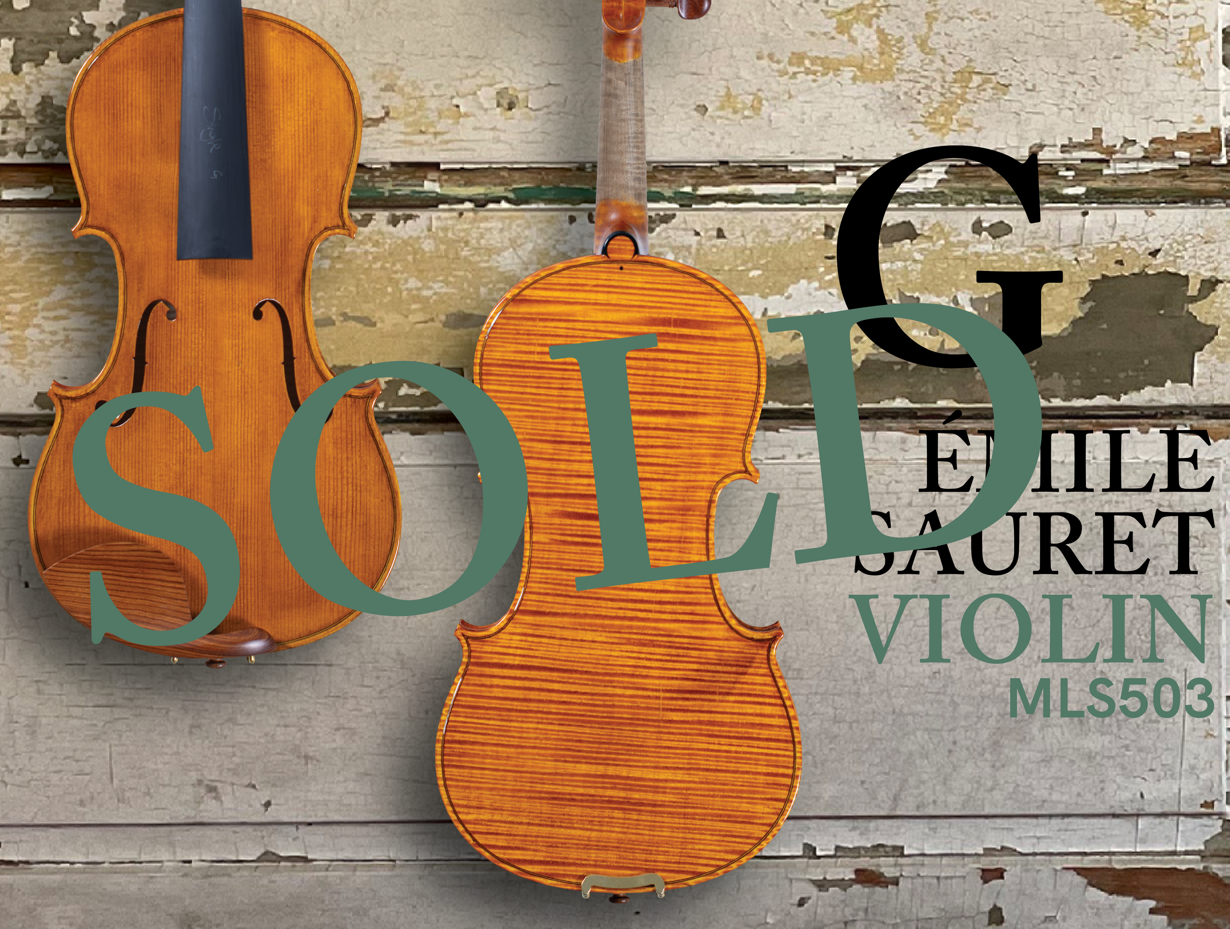 202603 HP 503VN G-SOLD.png