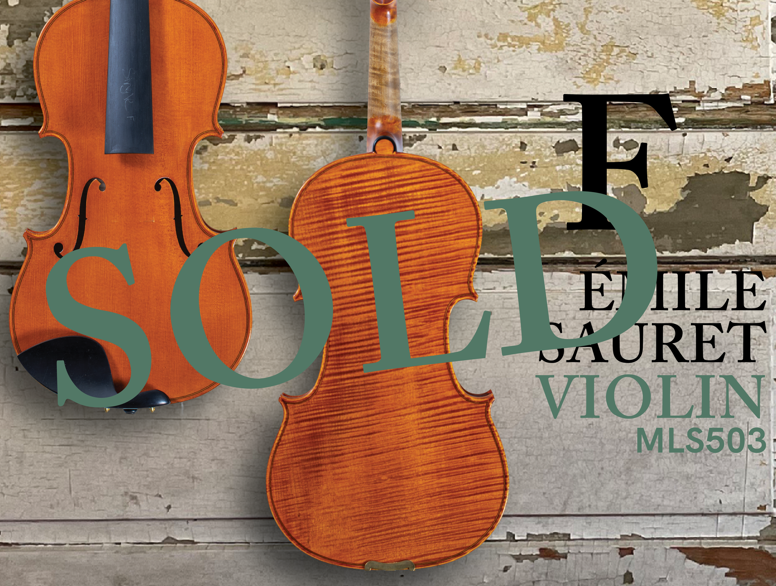 202603 HP 503VN F-SOLD.png