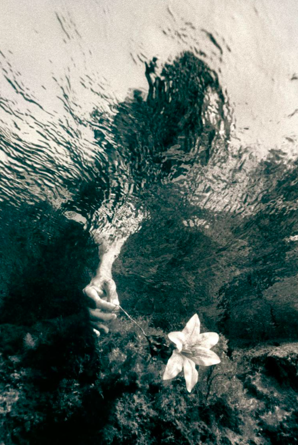 Water Bearer's Dream w/ Wyld Lee