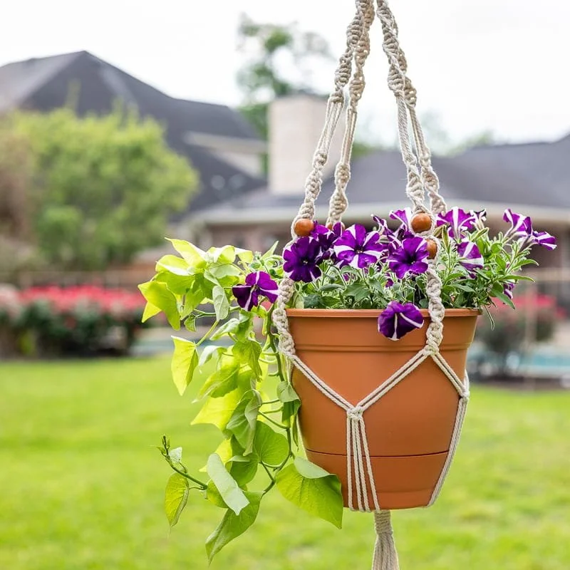 Make Your Own Macrame Plant Holder Workshop w/ Mara Palmer-Covington