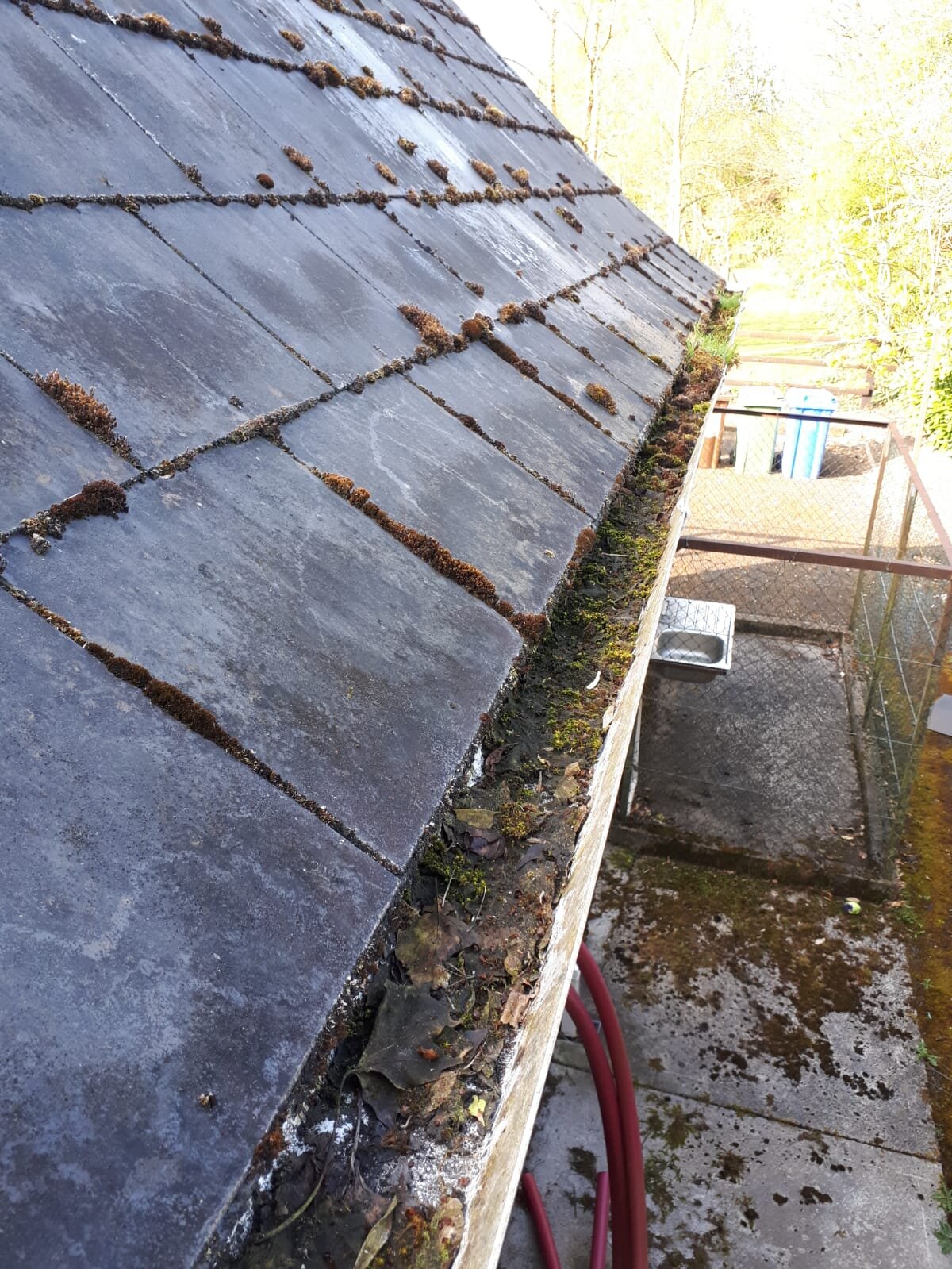 Roof with moss and debris in gutter