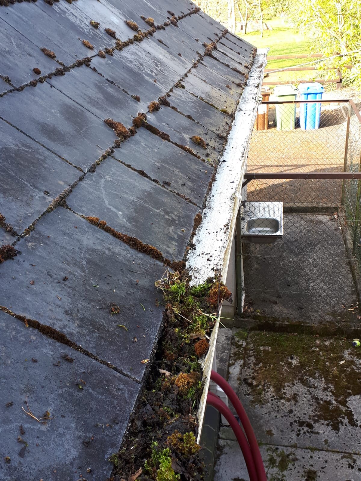Close-up of a house roof with visible moss and debris in the gutter, overlooking a garden area with trash bins.