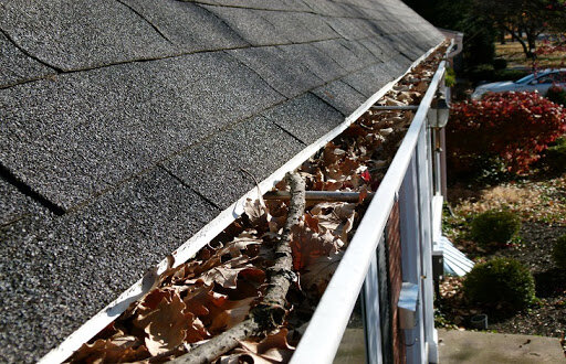 Gutter filled with leaves and debris on a house roof