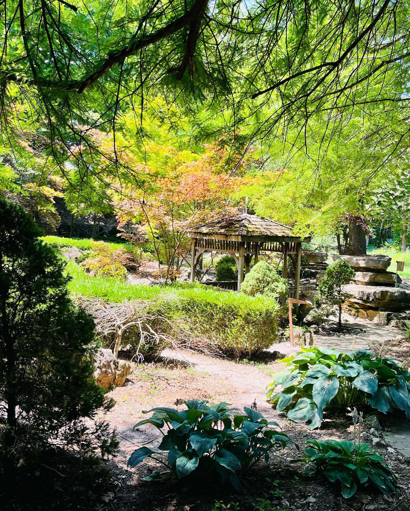 Toddhall gazebo.jpg