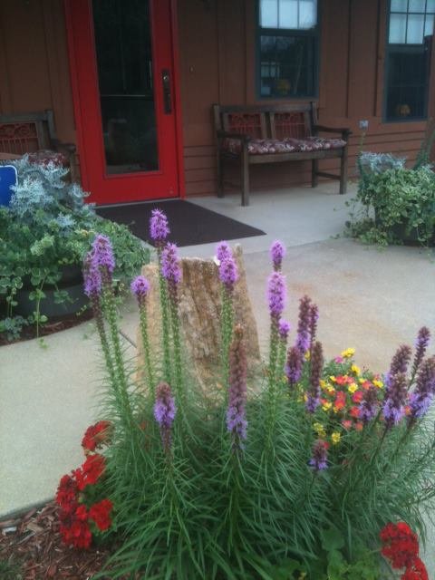 todd hall flowers.jpg