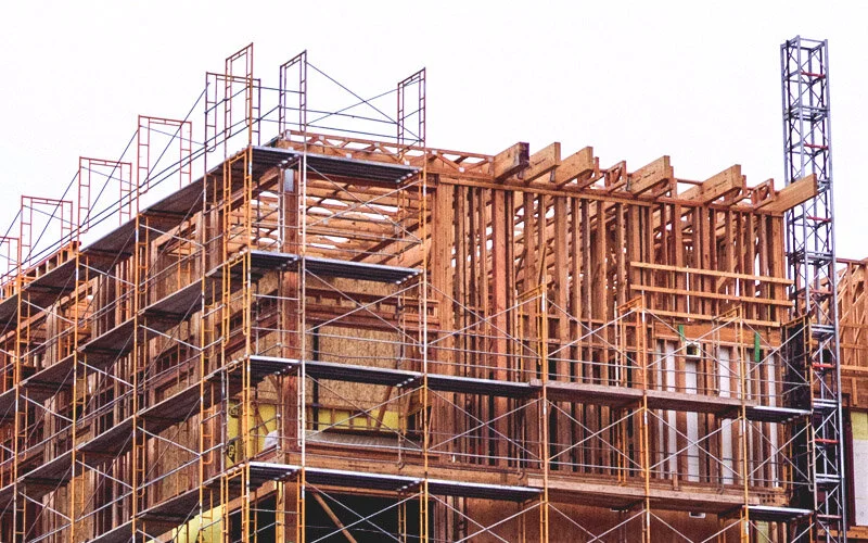 Walsh Who We Are Foundation.jpeg