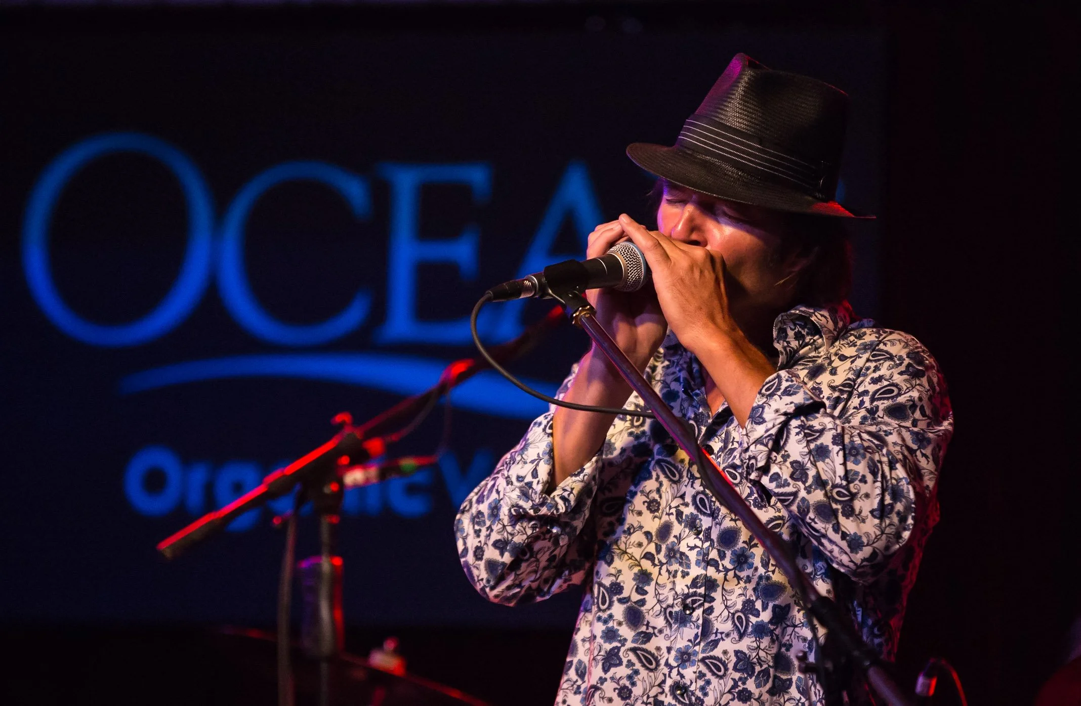 Musician playing harmonica on stage with microphone, wearing a fedora and floral shirt.
