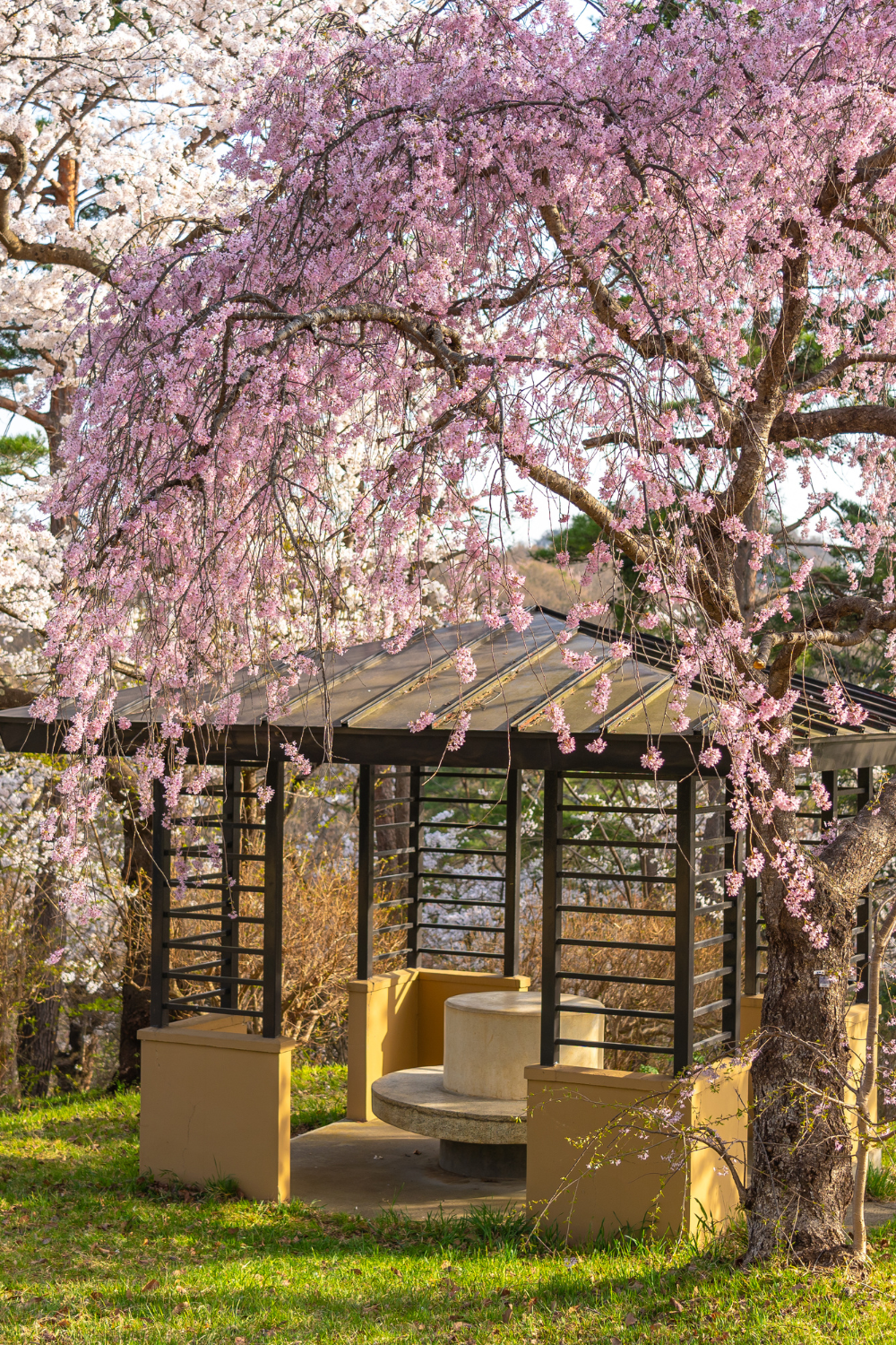 The Spring Reset: 7 Essential Updates for Your Direct Booking Website