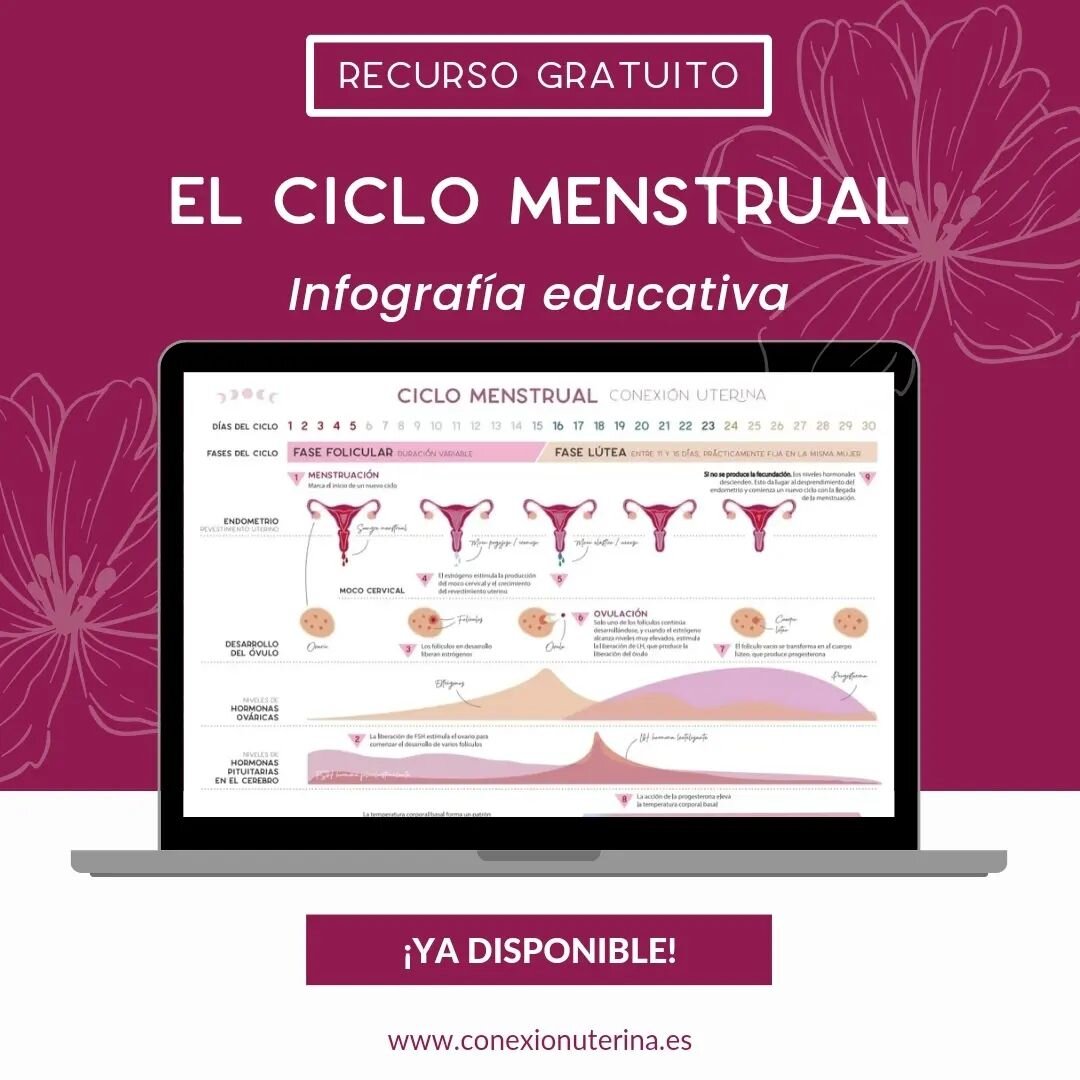 &iexcl;Buenas tardes chicas!
Despu&eacute;s de unos d&iacute;as de descanso navide&ntilde;o, &iexcl;tengo dos noticias que contarles
1️⃣Conexi&oacute;n Uterina inaugura Newsletter, que enviar&eacute; en cada Luna Nueva con contenido de valor relacion