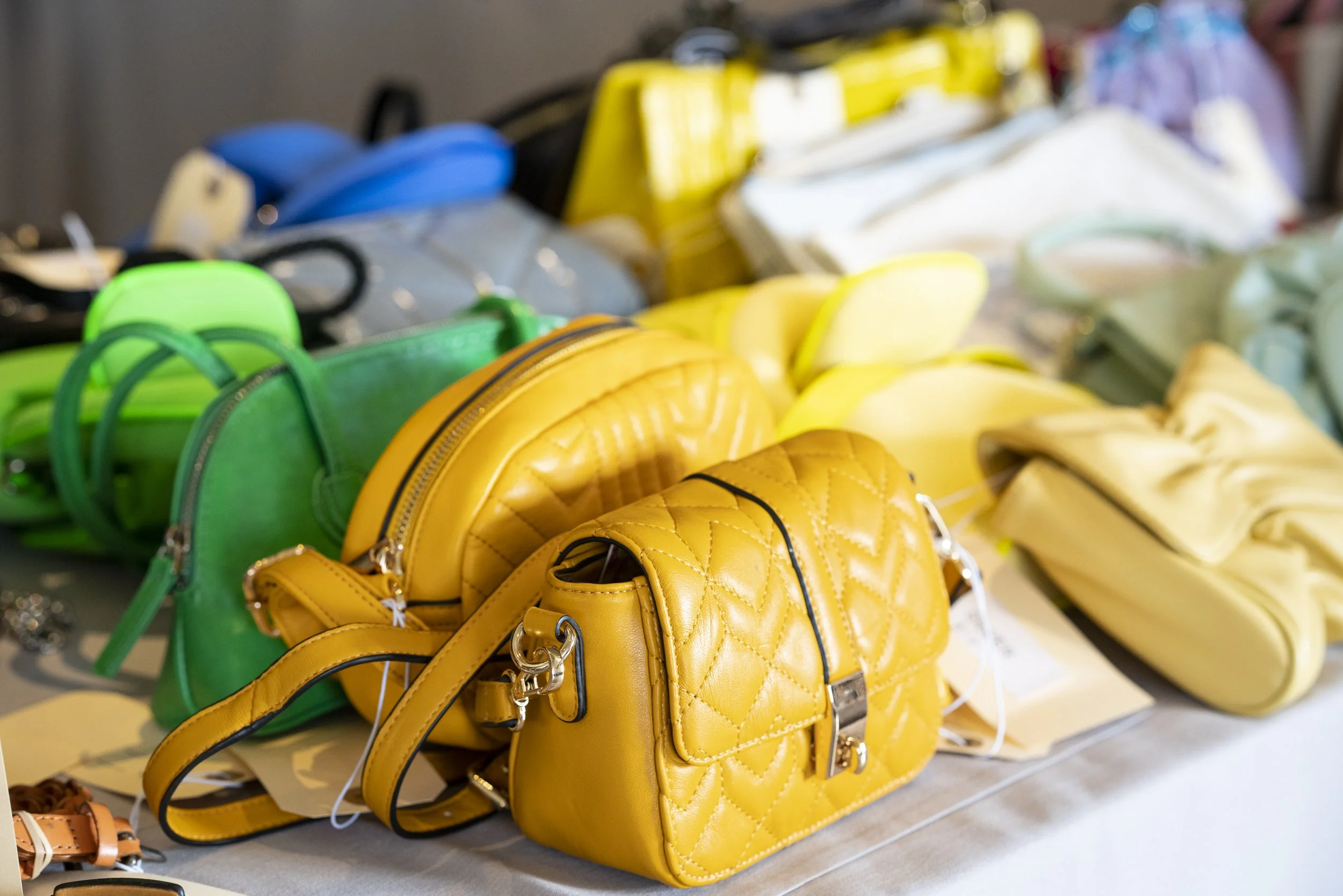 What Can One Purse Provide?