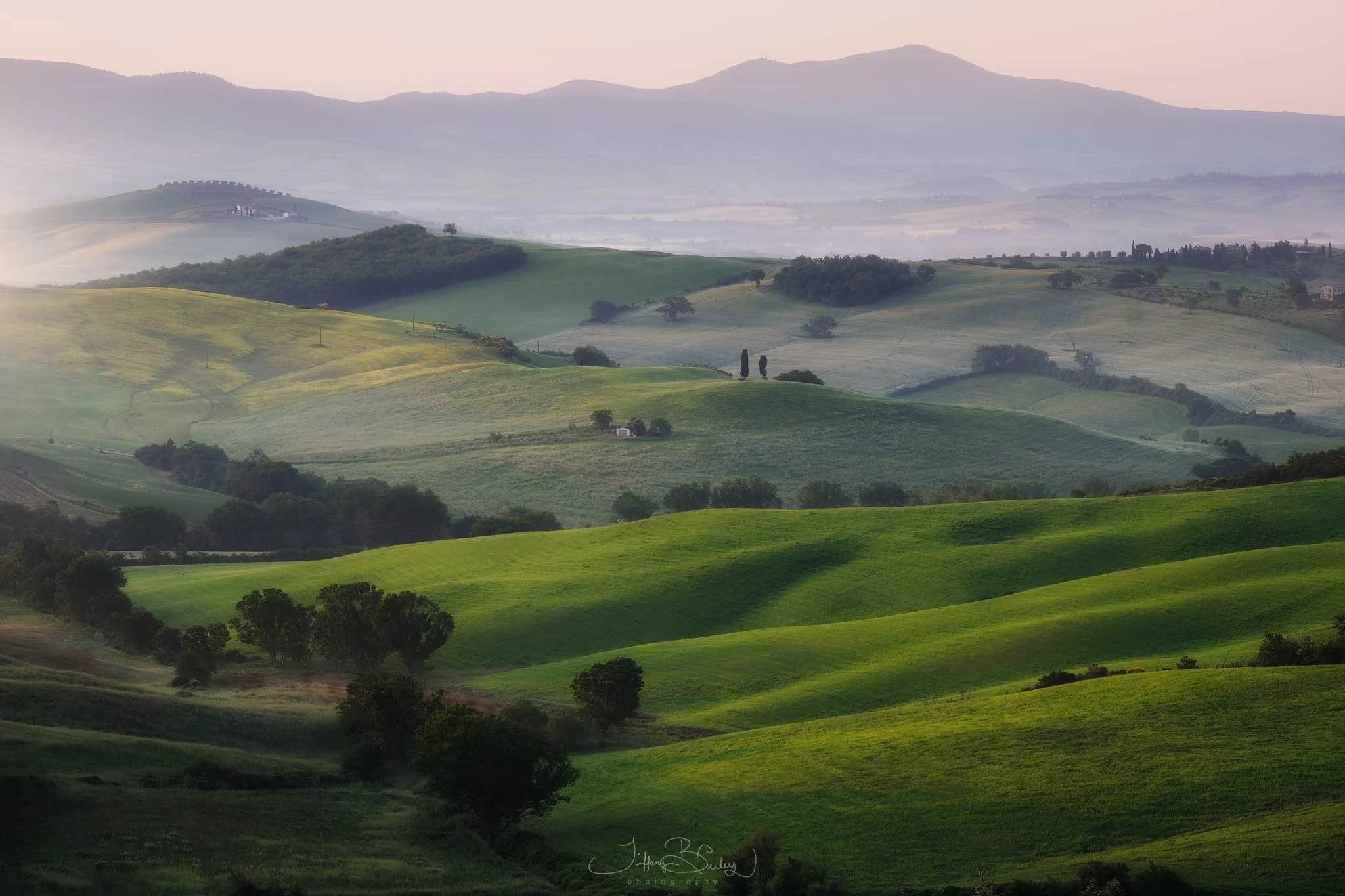 TUSCAN-HILLS-with-logo.JPG