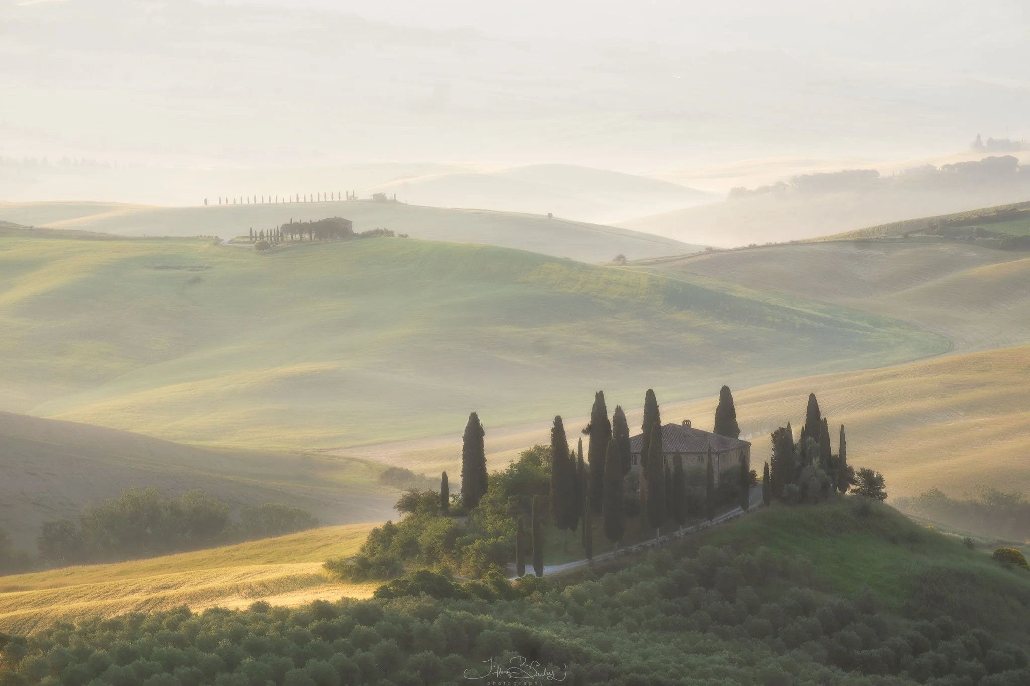 Belvedere-Morning-with-logo.JPG