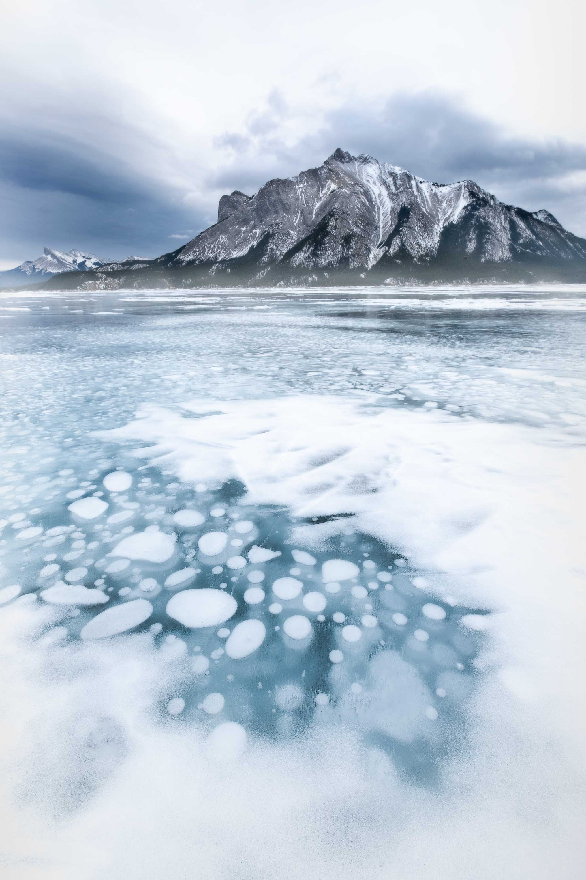 Winter-Inspiration-for-web.jpg
