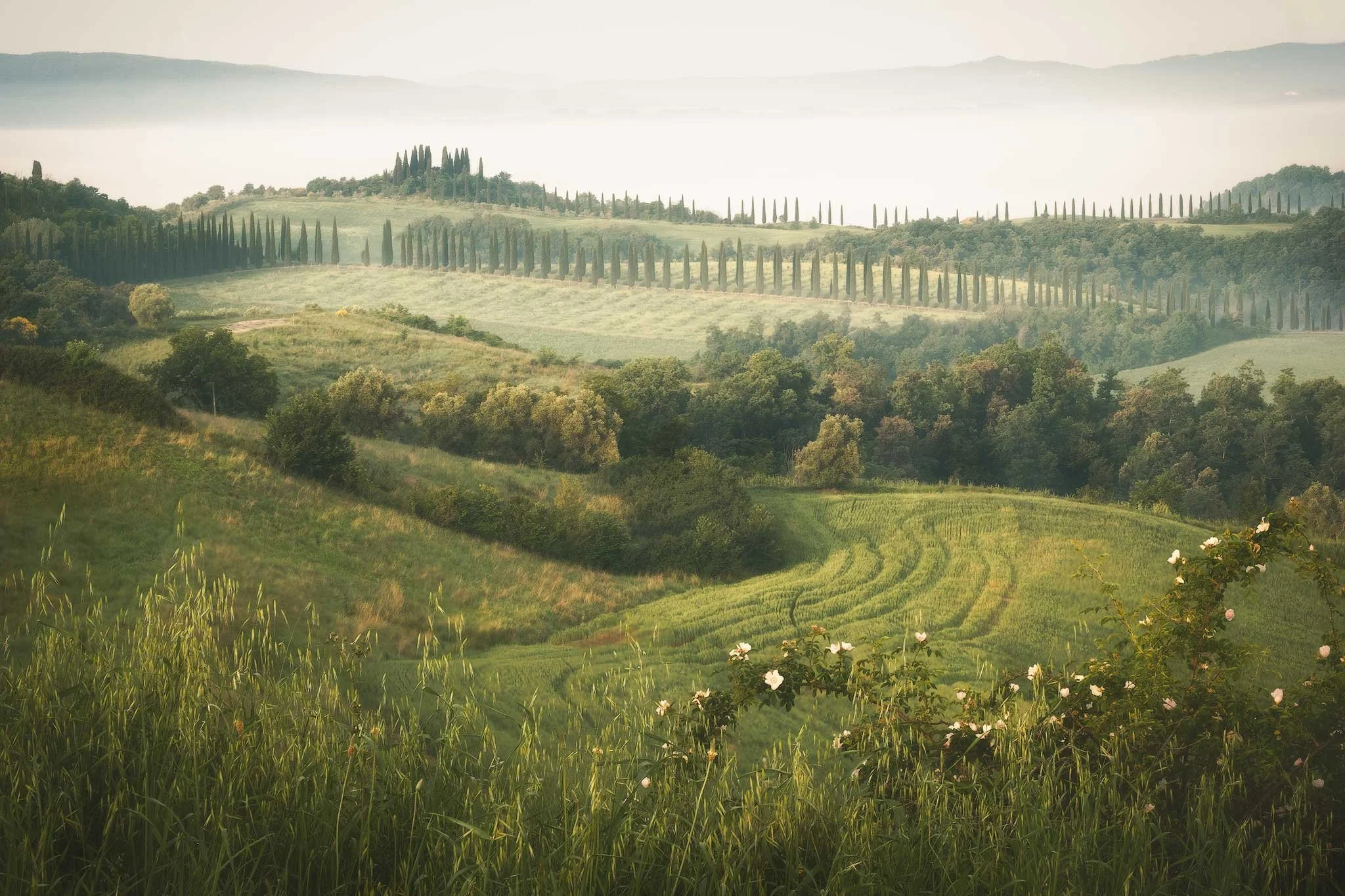 Litany-of-the-Hills-sharpened.JPG