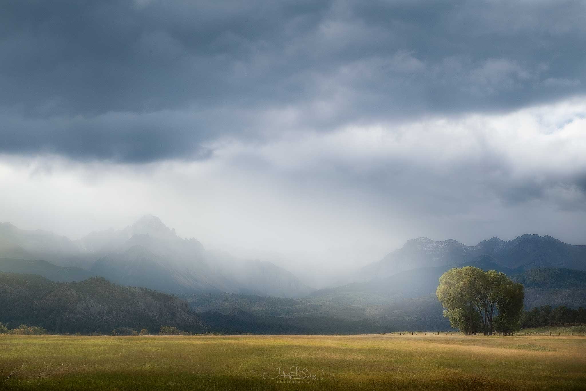 Pastoral-Perfection-with-logo.jpg
