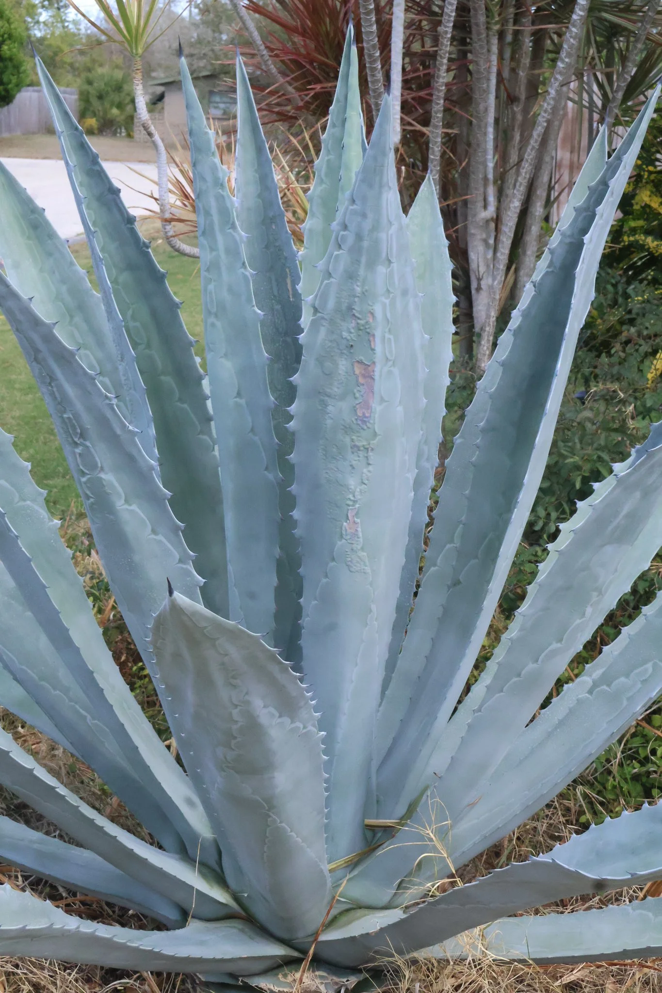 Stay Tuned - Coming Soon - Spring of 2026