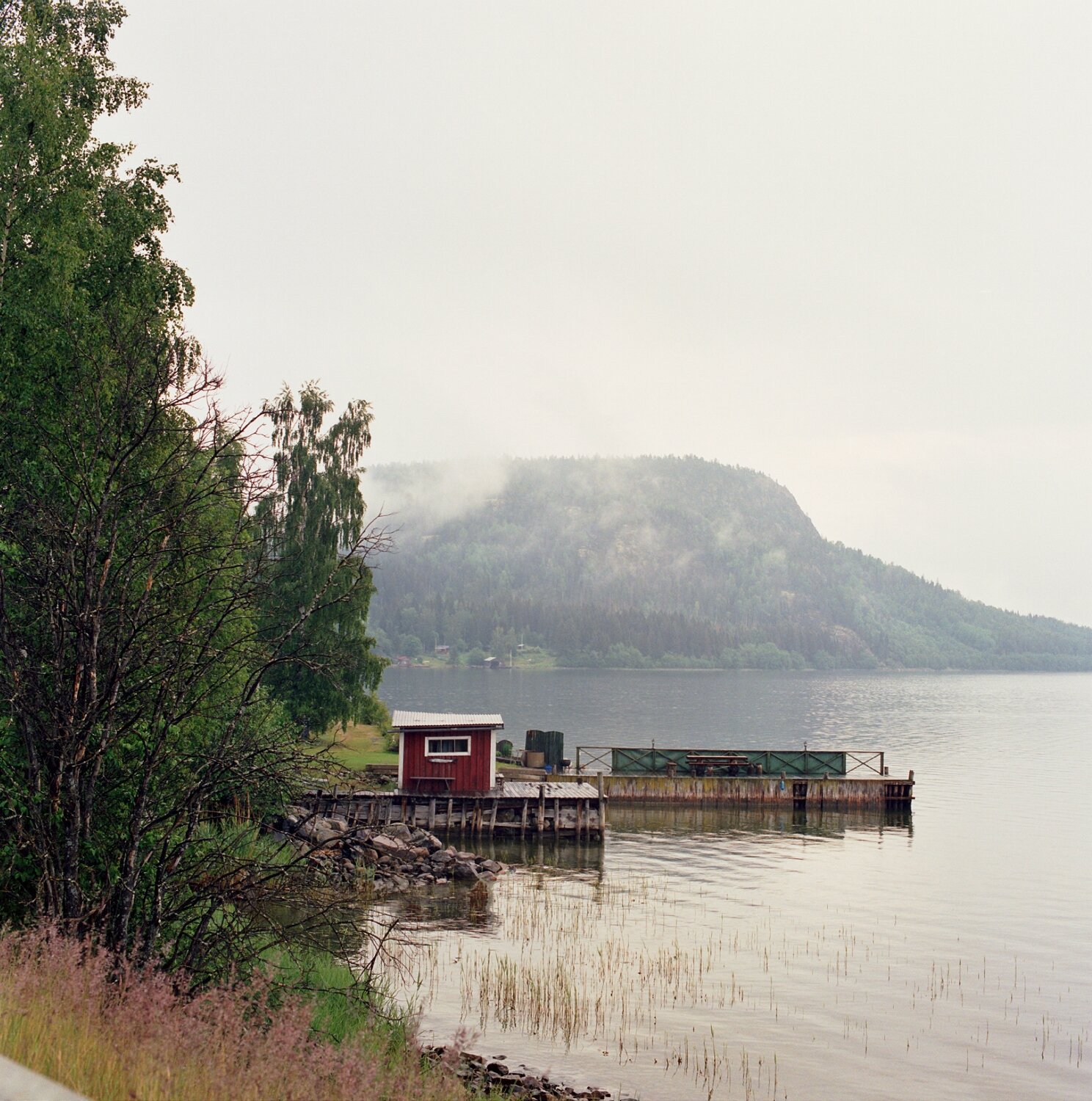 Roll 05-07.jpg