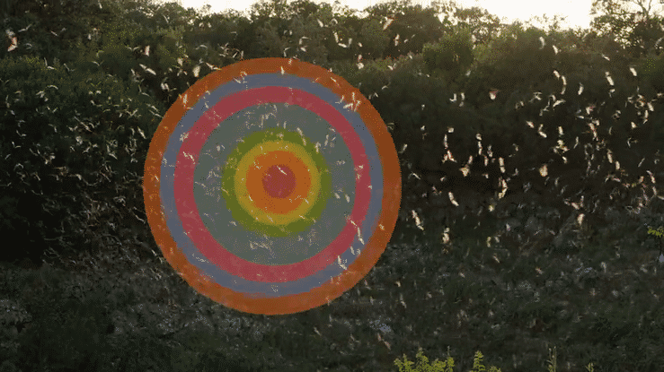 Introducing Women in Film San Francisco Bay Area-high copy.gif