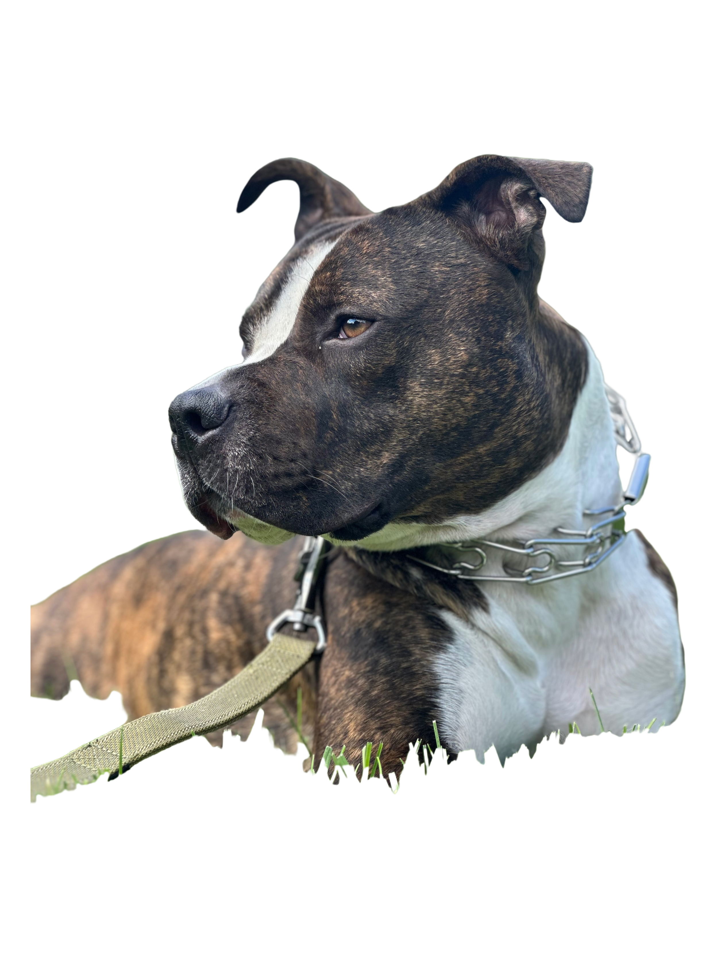 Remove background project.png