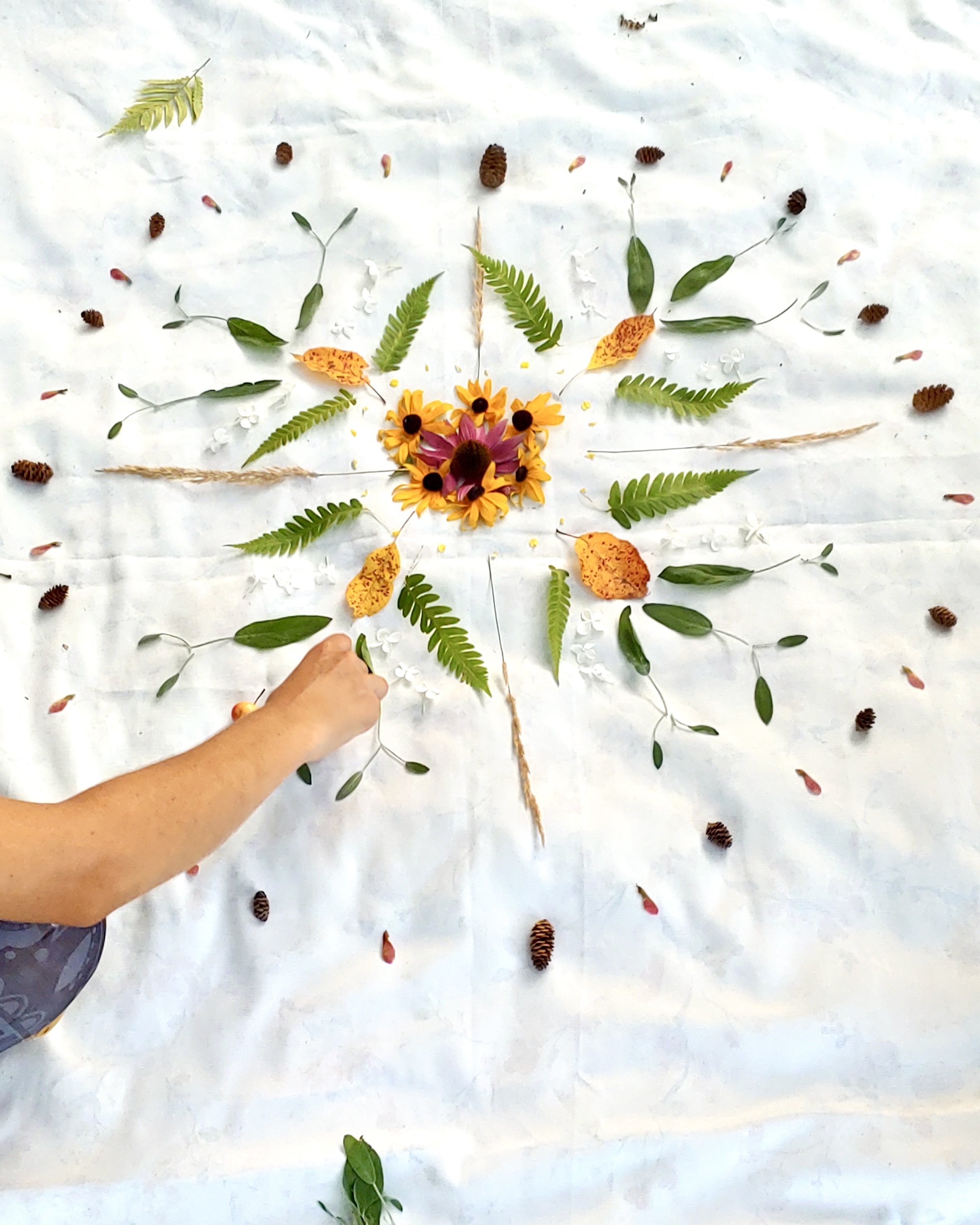 Horticultural Therapy Root In Nature Horticultural Therapy Root In Nature