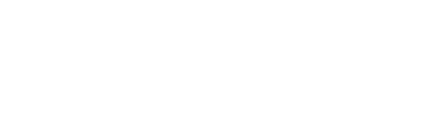 Nemesis Fitness