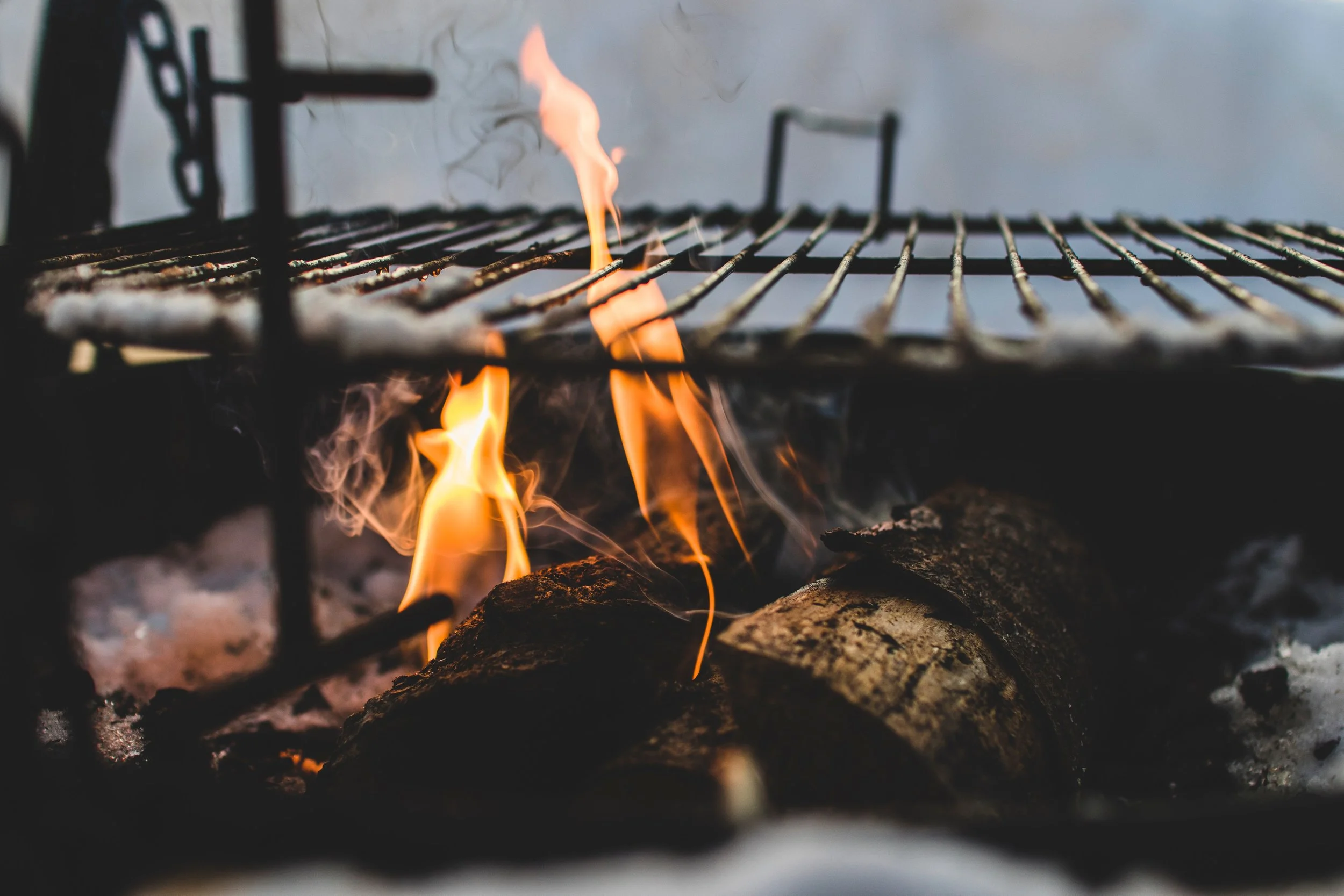 Grilling Safety 101: Your Guide to Staying Fire-Wise During August BBQs
