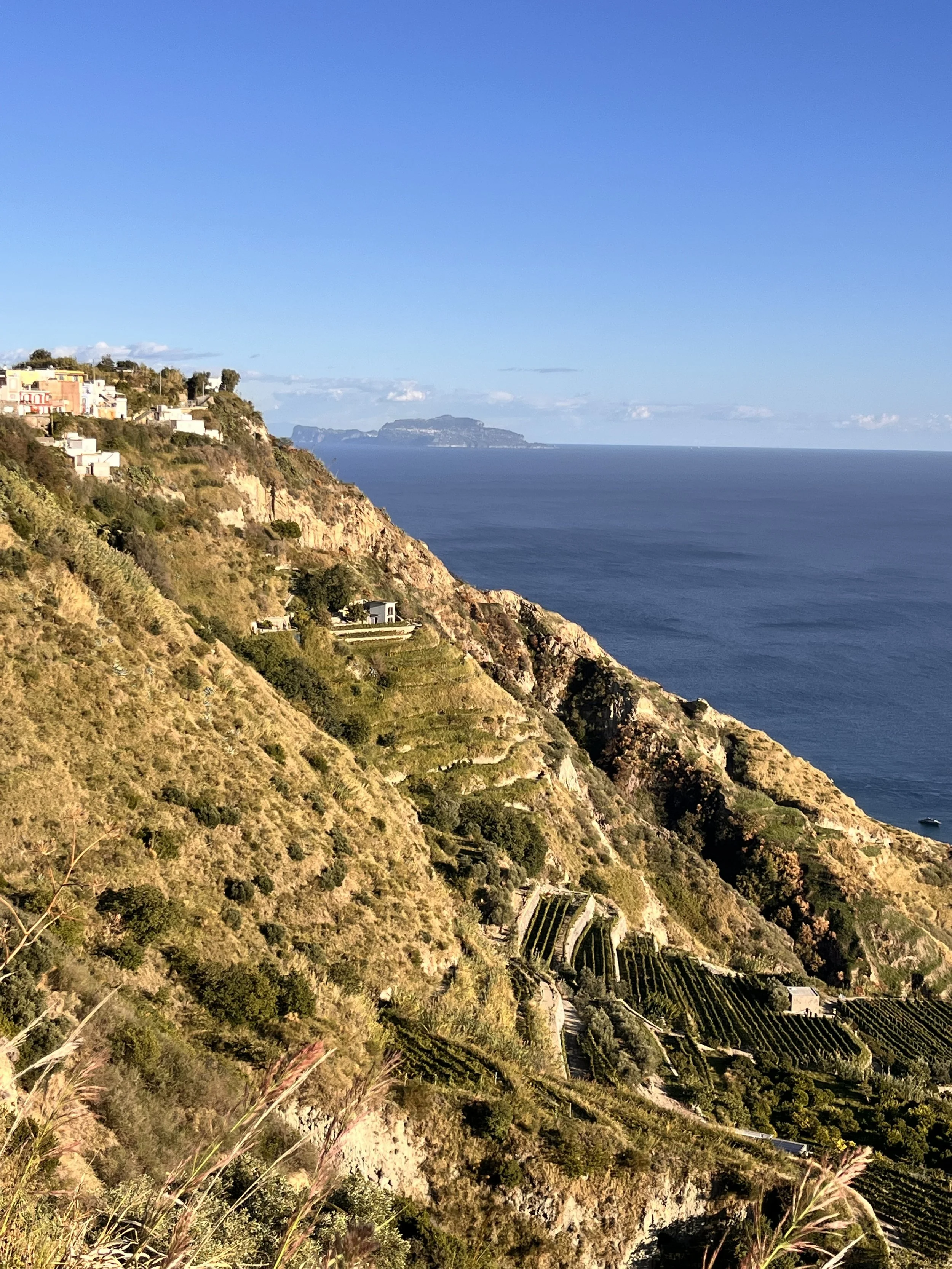 Ischia Masterclass with Bottivino