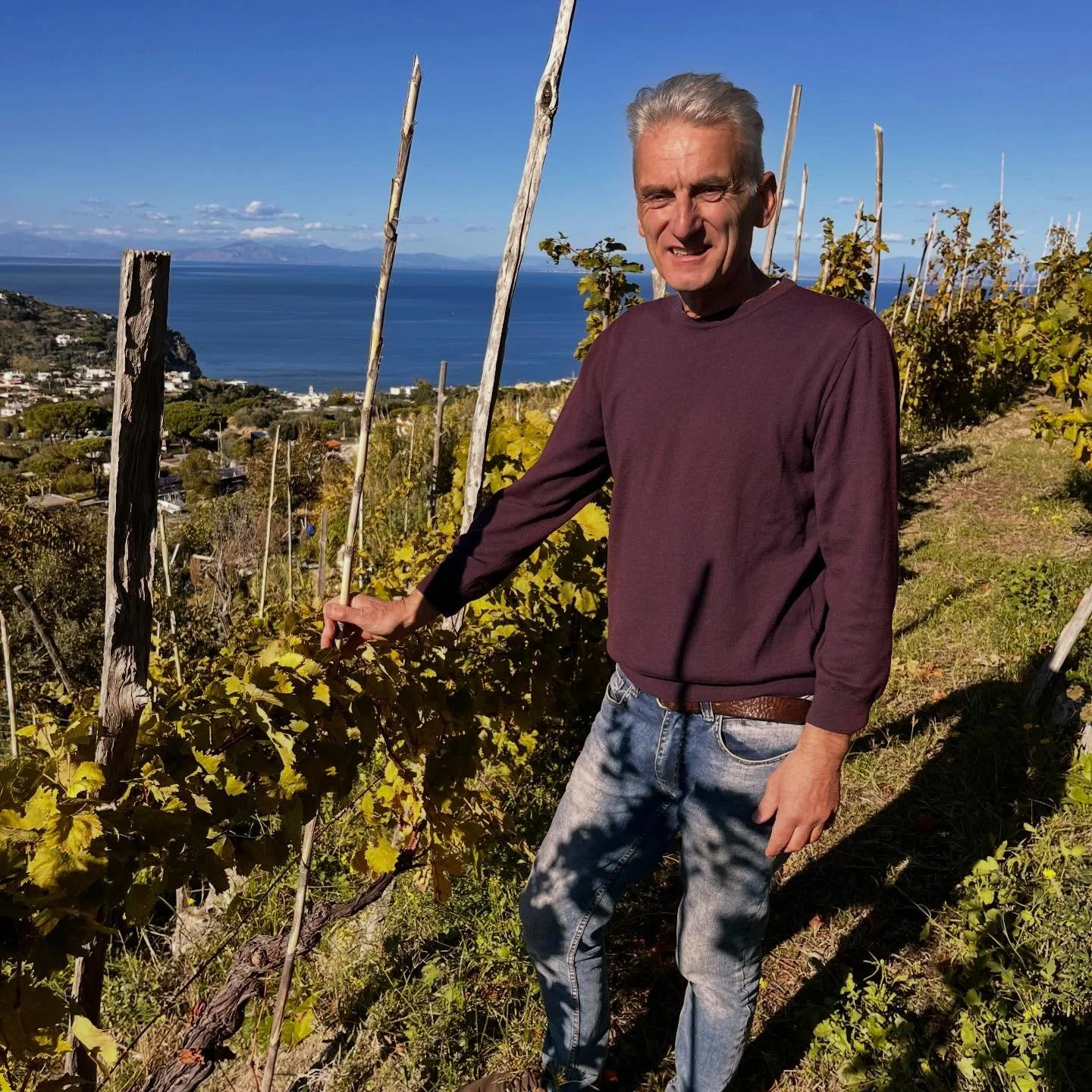 The Mediterranean in a wine glass! ☀️🇮🇹

We have finally received the latest releases from @cenatiempo_vini from the island of Ischia (Campania), adding to our selection of Southern Italian wines these zesty and mineral whites based on the local va