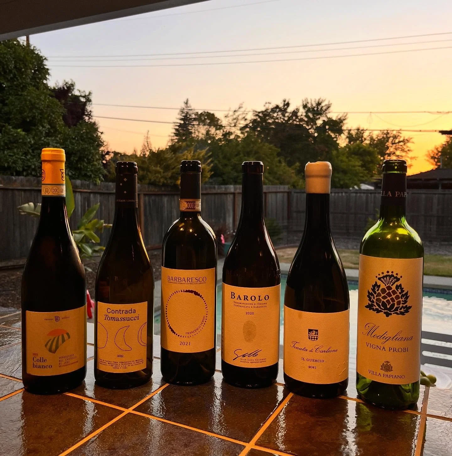 We believe talent in artisanal winemaking is the ability of effortlessly combine knowledge, technical skills, intuition, ingenuity, hard work and a respectful understanding of Nature. The result is like a photograph: a wine that captures the many nua