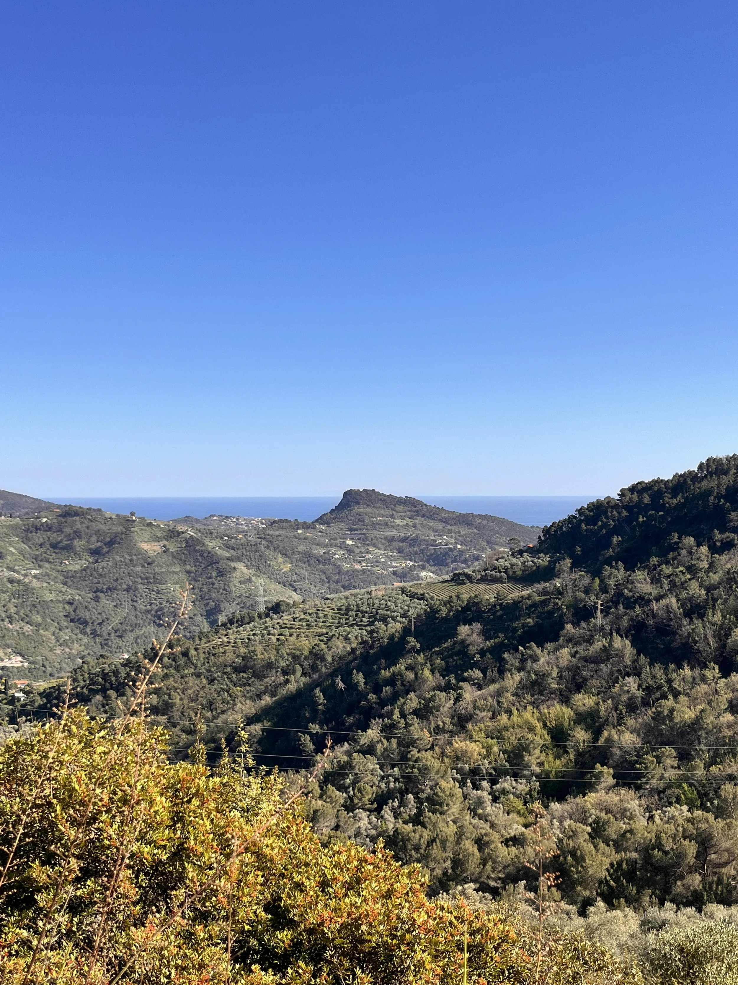 The view from Arcagna, in Dolceacqua