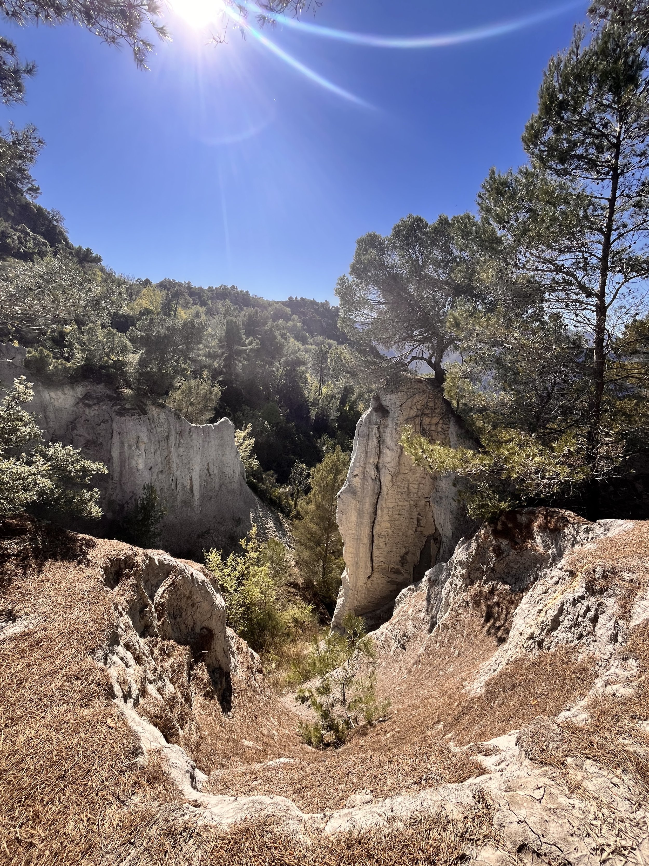 Sandstone canyons