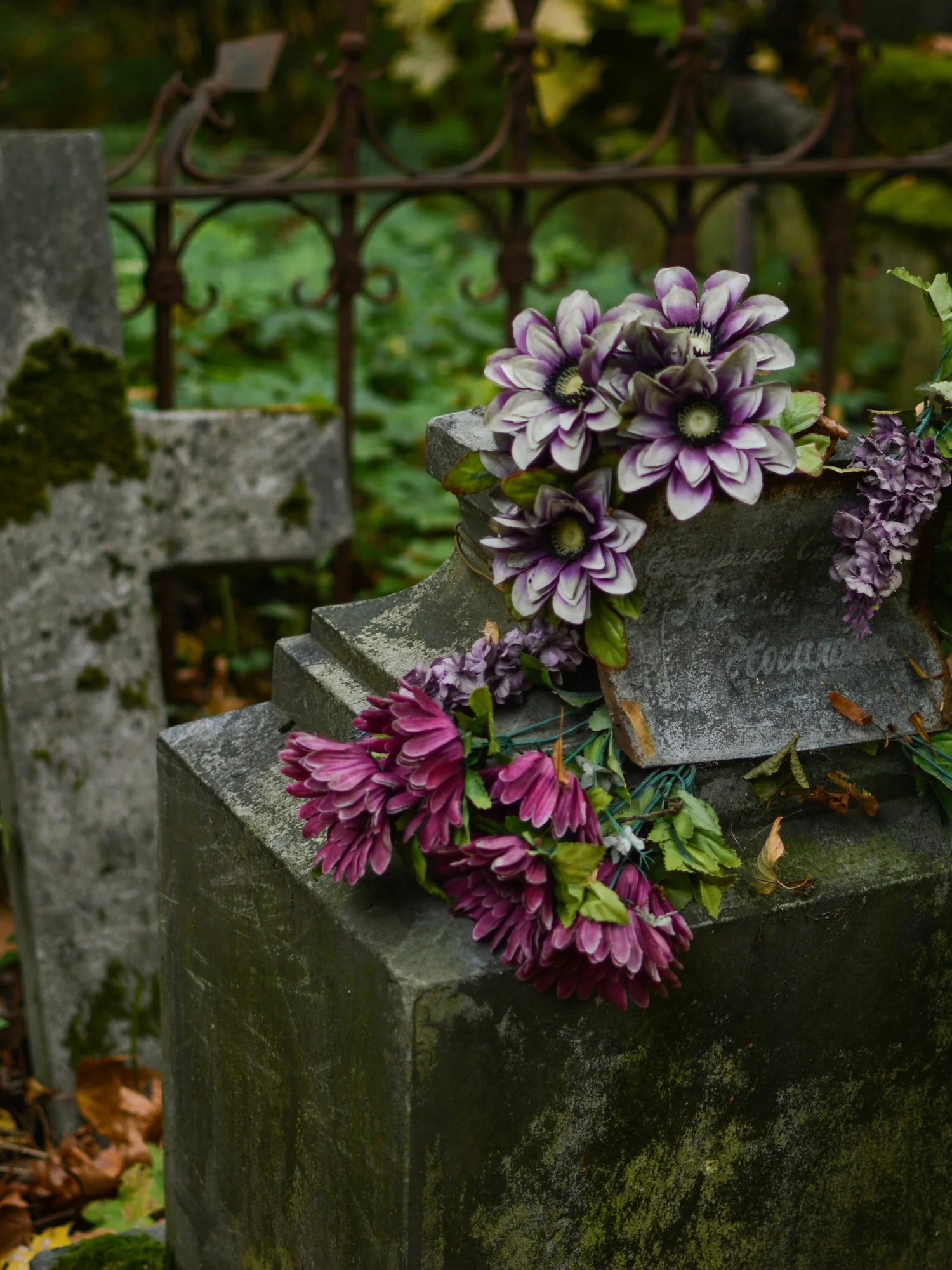 “The Cemetery for All the Mothers Who Died Way Too Young” episode artwork