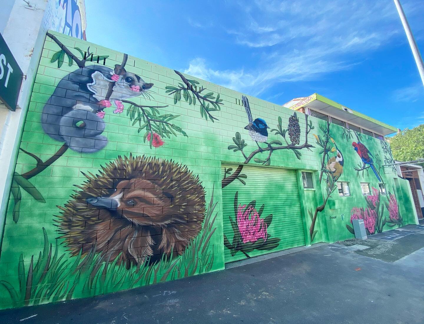 Mural Art at Simple Cider