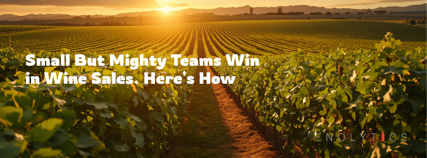 What Three Small Winery Teams Are Actually Doing to Win Right Now
