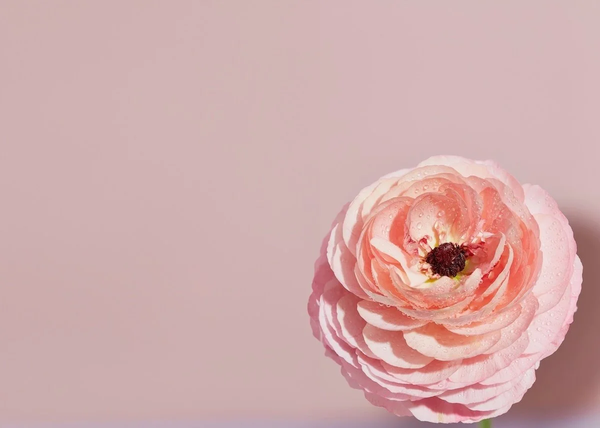 Rosé Season is Here! Let’s Sell Some Wine