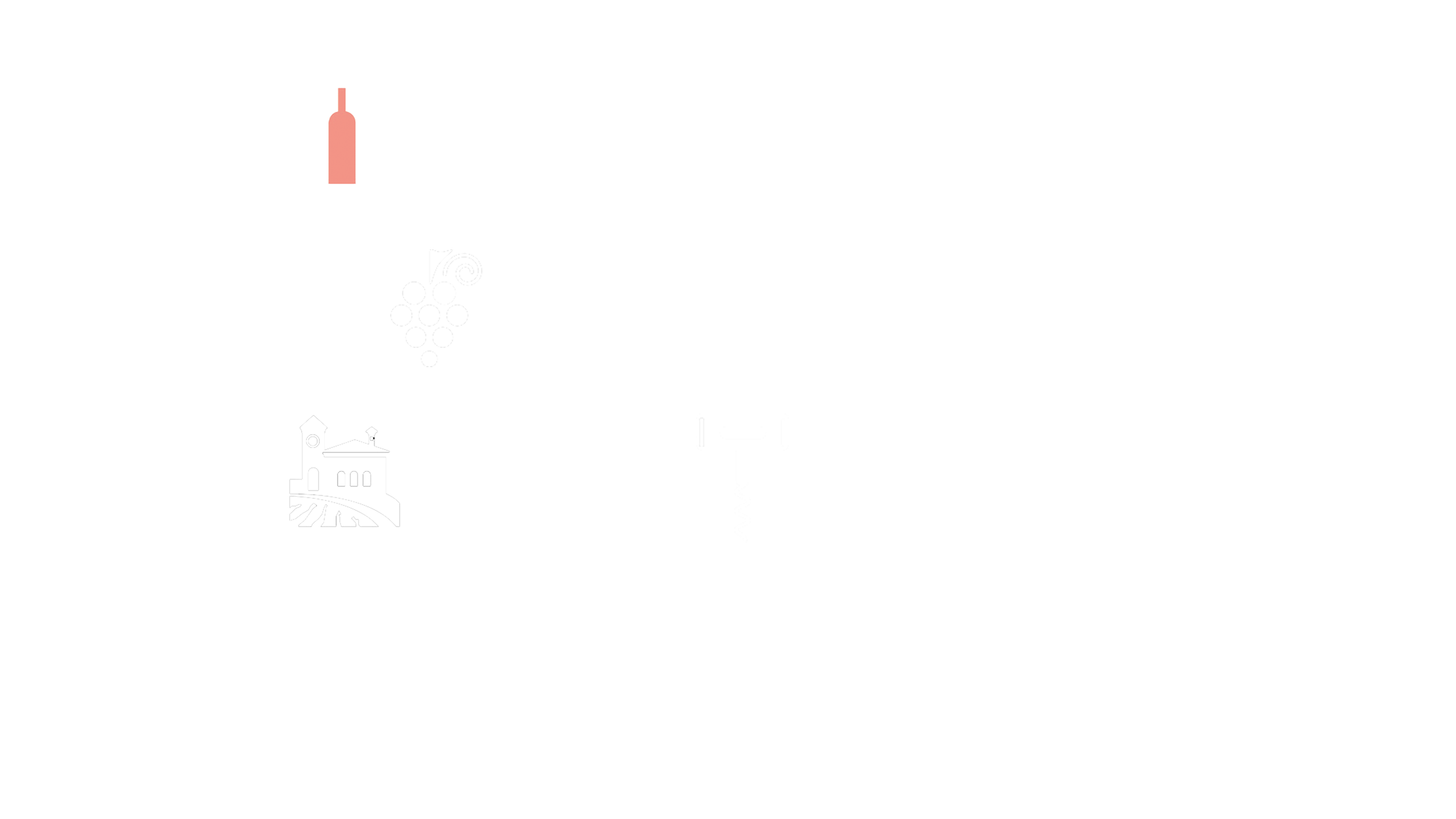 enolytics-about-us-pioneering-data-solutions-for-wine-spirits