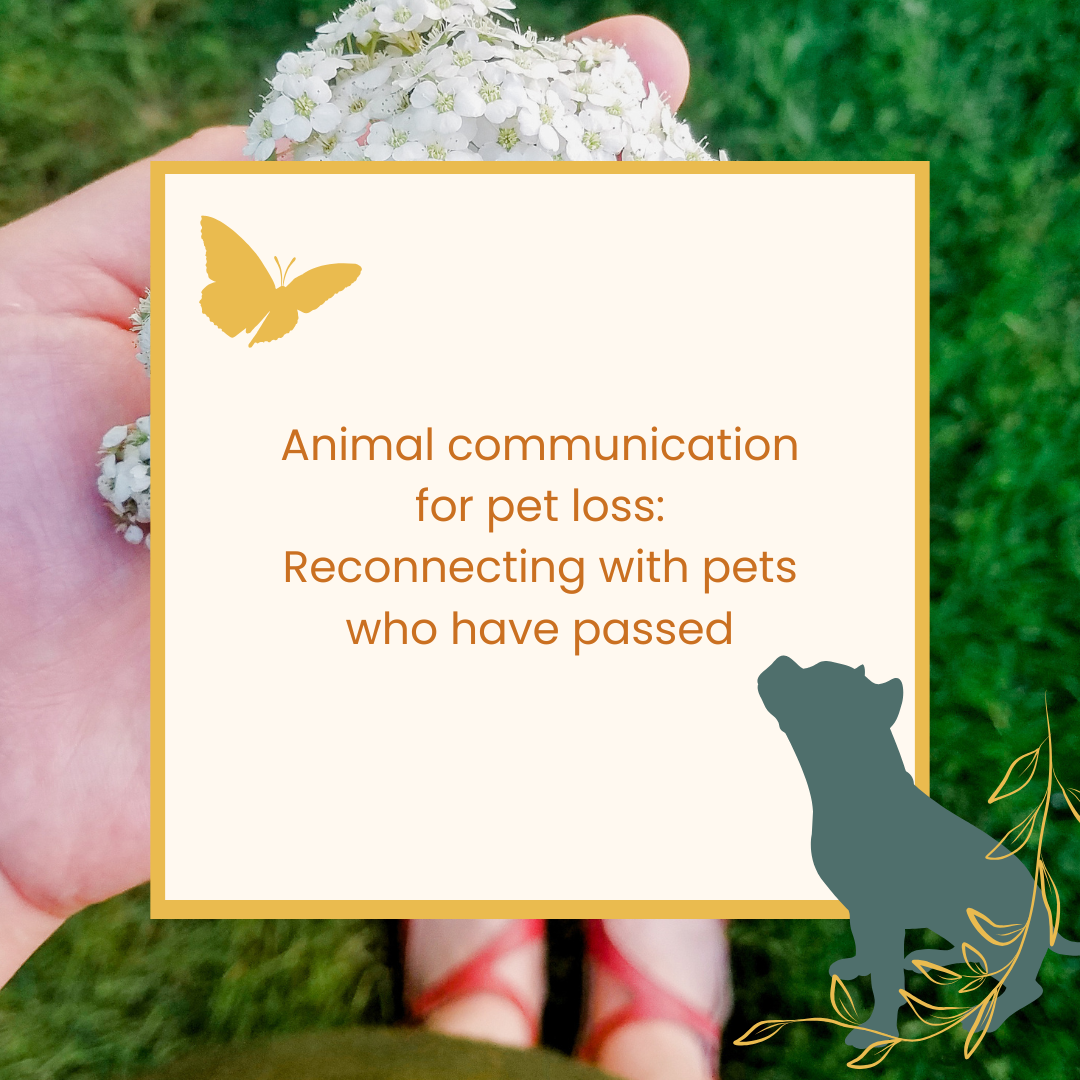 Animal communication for pet loss: Reconnecting with pets who have passed