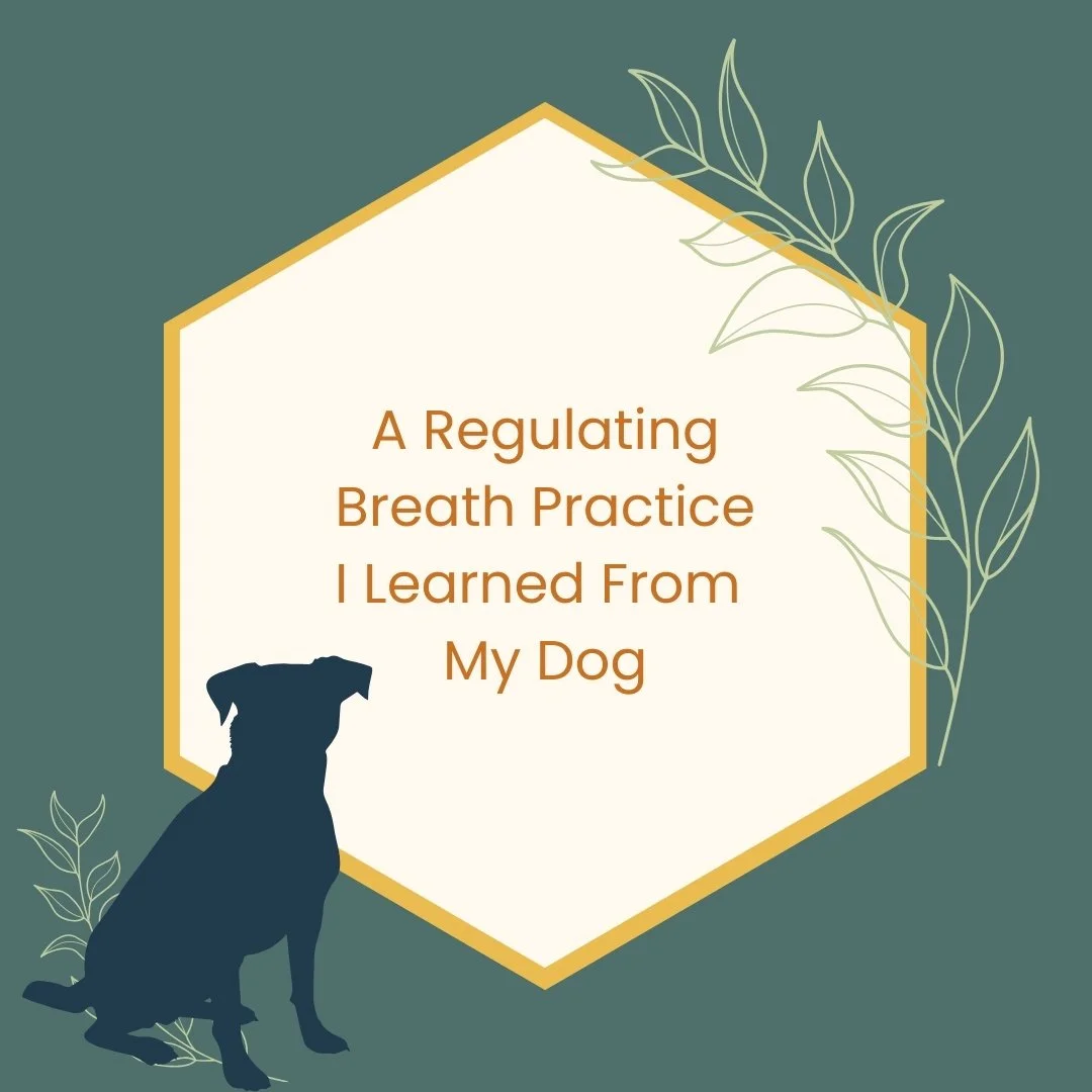 A Regulating Breath Practice I Learned From My Dog