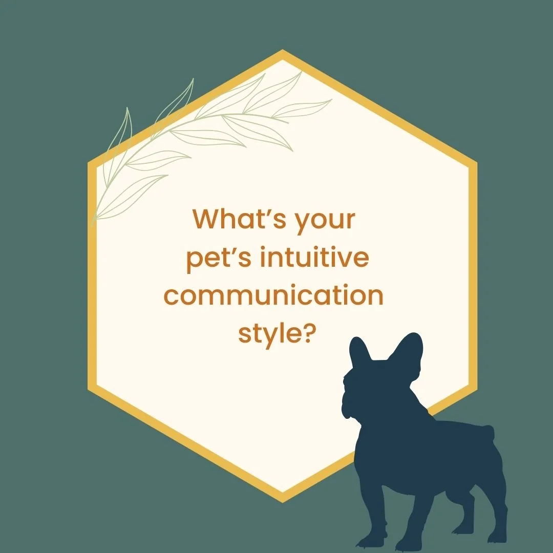What is your pet’s intuitive communication style?