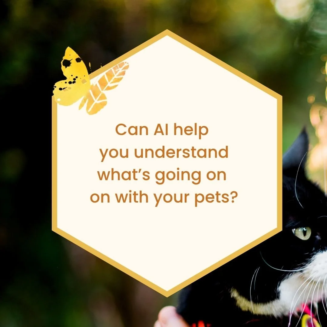 Can AI help you understand what’s going on with your pet?