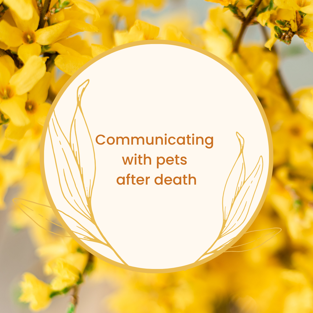 Communicating with pets after death