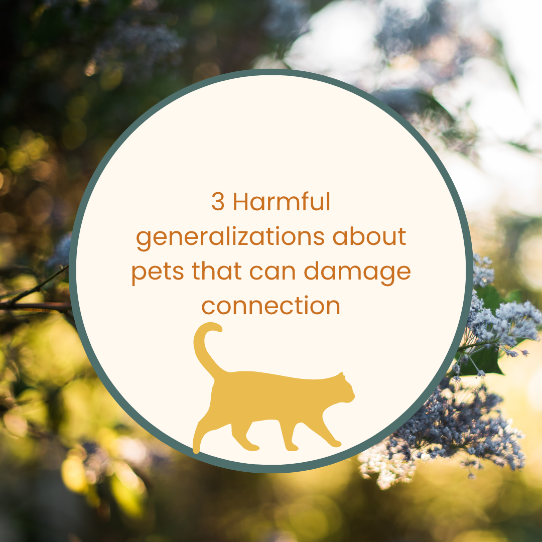 3 Harmful generalizations about pets that can damage connection