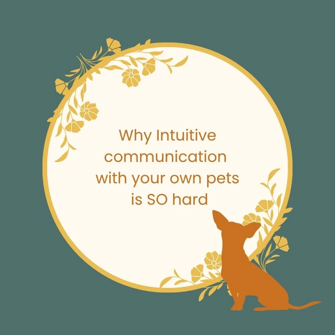 Why Intuitive communication with your own pets is SO hard