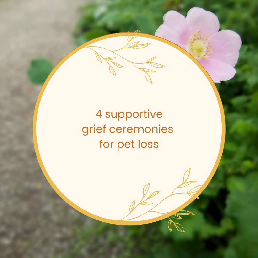 4 supportive grief ceremonies for pet loss