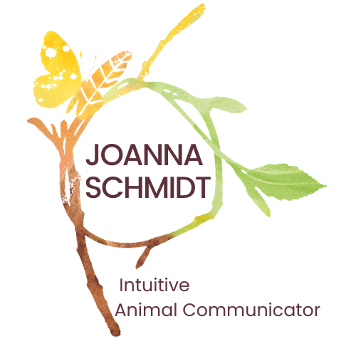 12 Questions every animal lover should ask their pets — Animal